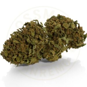 Passion Fruit