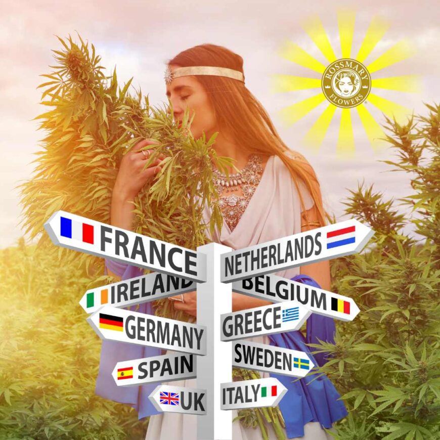 Cannabis legalizzazione Europa